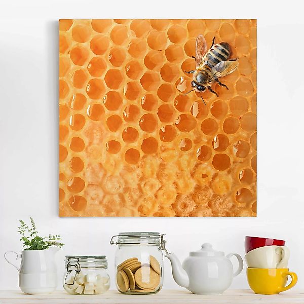 Leinwandbild Tiere - Quadrat Honey Bee günstig online kaufen