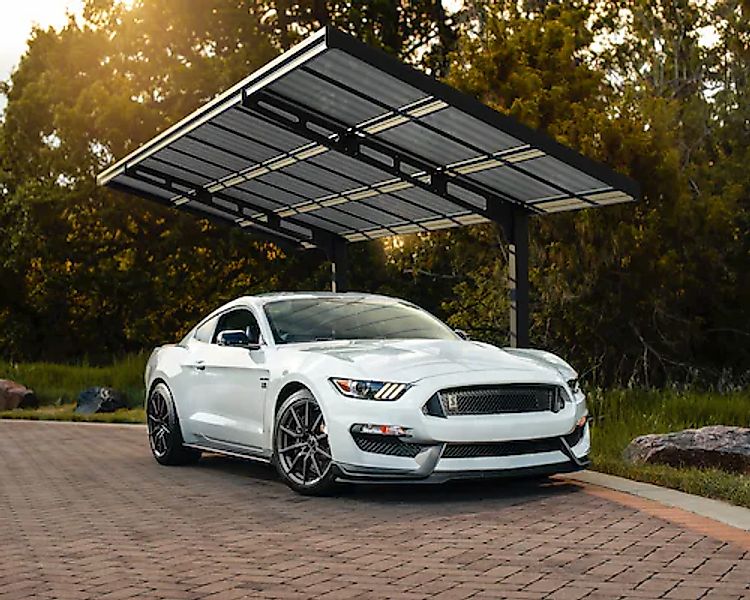 Palram - Canopia Einzelcarport »Sydney« Aluminium 280 cm Schwarz 100% UV-ge günstig online kaufen