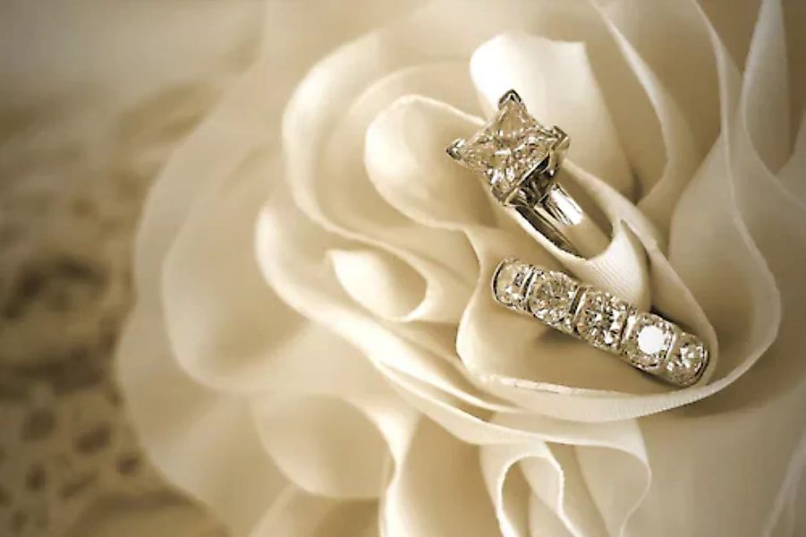 Papermoon Fototapete »Ring in Rose« günstig online kaufen