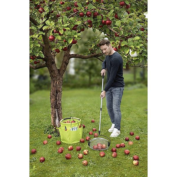 Maximex Blumenkralle Maximex Gartengerät Mod. Rollsammler günstig online kaufen