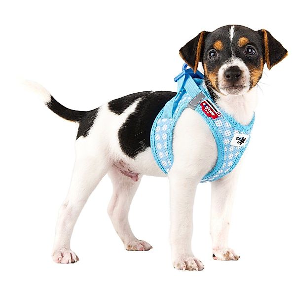 Curli Hunde-Geschirr Clasp Vest Geschirr Puppy günstig online kaufen