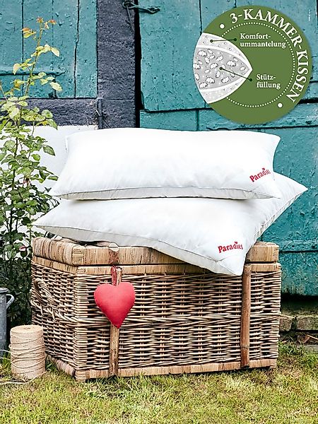 Paradies 3-Kammer-Kopfkissen Abbie Bio, Füllung: Außenkammer: 90% Daunen, 1 günstig online kaufen