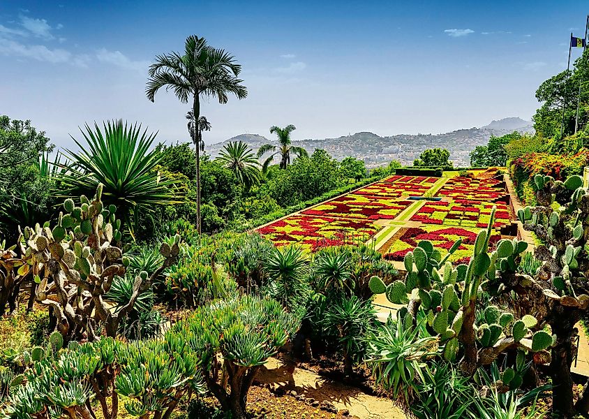 Ravensburger Puzzle Beautiful Gardens, Botanical Garden, günstig online kaufen