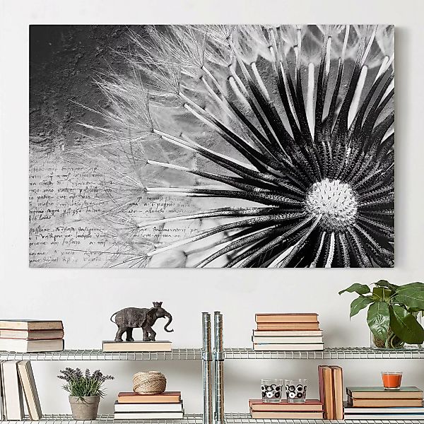 Leinwandbild Blumen - Querformat Pusteblume Schwarz & Weiß günstig online kaufen