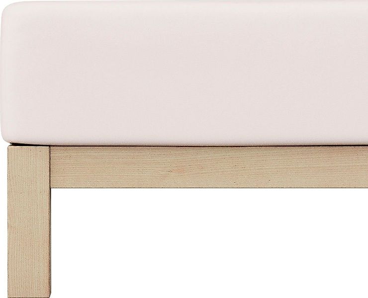 Schlafgut Spannbettlaken PURE Bio-Baumwolle mit Elasthan, günstig online kaufen