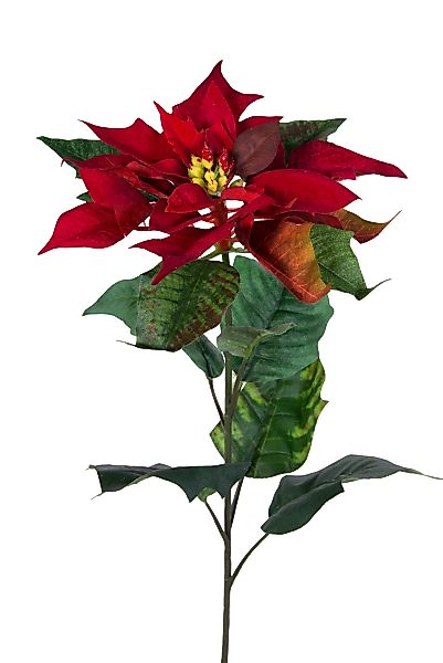 Kunstblume Weihnachtsstern Natura 72cm samt-rot PM günstig online kaufen