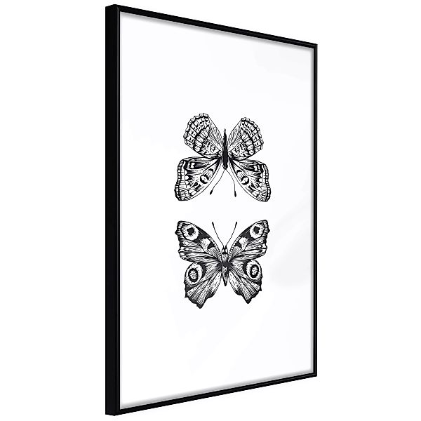 Poster - Butterfly Collection I günstig online kaufen