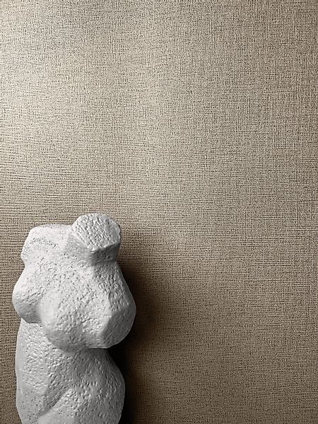 Newroom Vliestapete, Braun Tapete Uni Unifarbe - Unitapete Strukturtapete M günstig online kaufen