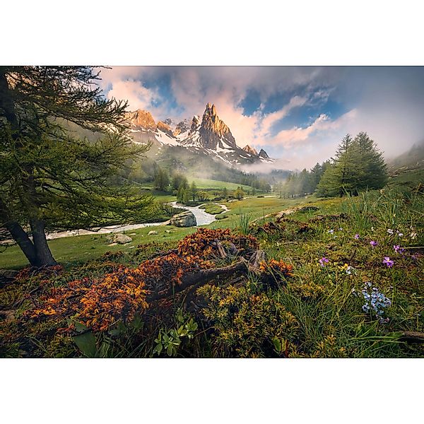 Komar Tapete Morning Walk 368 x 254 cm günstig online kaufen