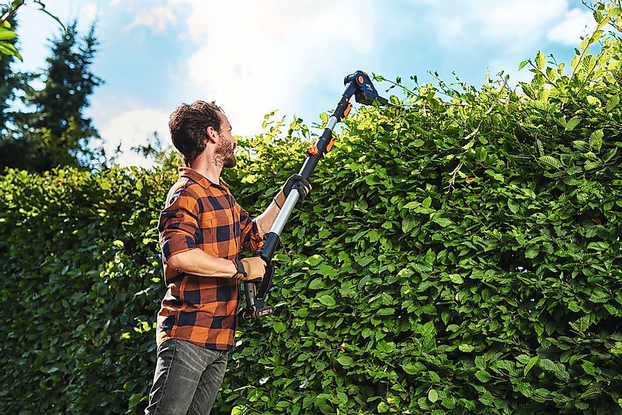 Worx Akku-Heckenschere 20V WG252E.9, Teleskopstiel 3,6m, 45cm, bis 3,60 m A günstig online kaufen