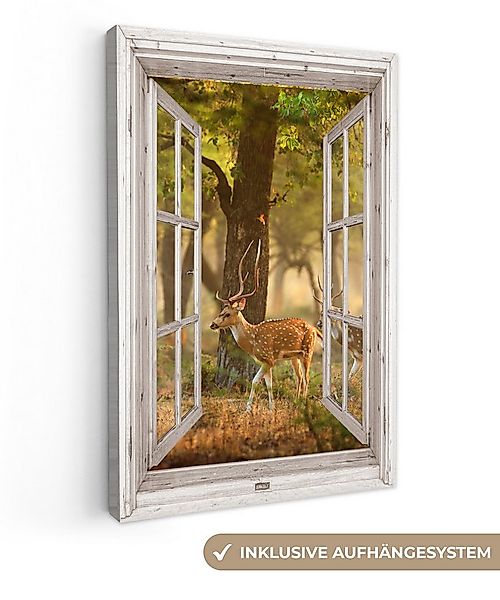 OneMillionCanvasses® Leinwandbild Hirsche - Wald - Herbst - Waldtiere - Nat günstig online kaufen