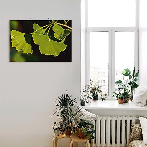 Artland Wandbild "Ginkgo Blätter", Blätter, (1 St.), als Alubild, Outdoorbi günstig online kaufen