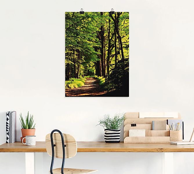 Artland Wandbild »Weg im Wald«, Wald, (1 St.), als Alubild, Outdoorbild, Le günstig online kaufen