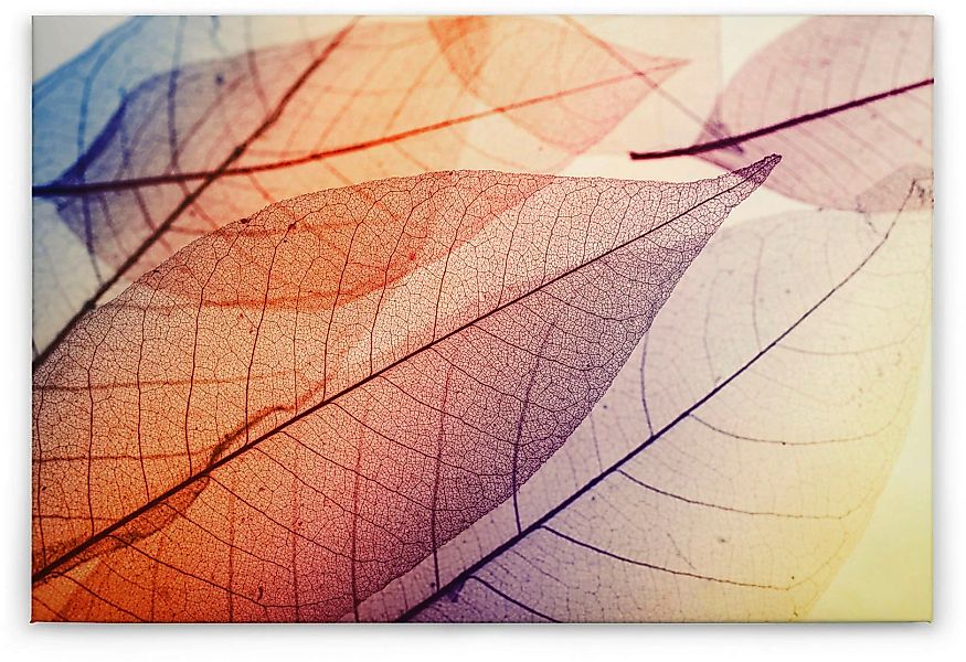 A.S. Création Leinwandbild "Limpid Leaf", Natur, (1 St.), Keilrahmen Modern günstig online kaufen
