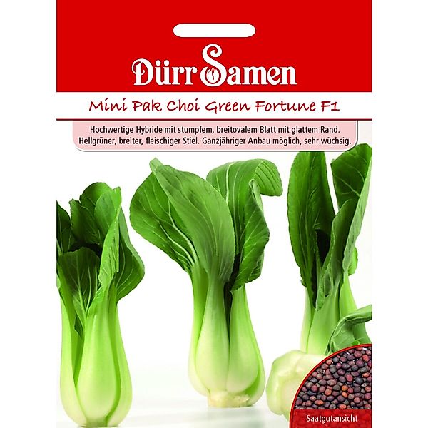 Dürr Samen Asia-Salat Green Fortune F1 Saatgut günstig online kaufen