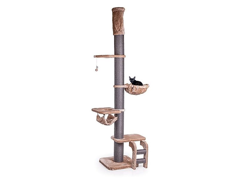 Canadian Cat Company Kratzbaum Deckenspanner Lofty - Cappuccino auch für gr günstig online kaufen