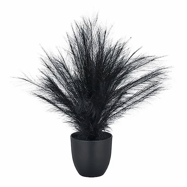 Creativ green Kunstgras »Pampasgras« in außergewöhnlicher Farbe günstig online kaufen