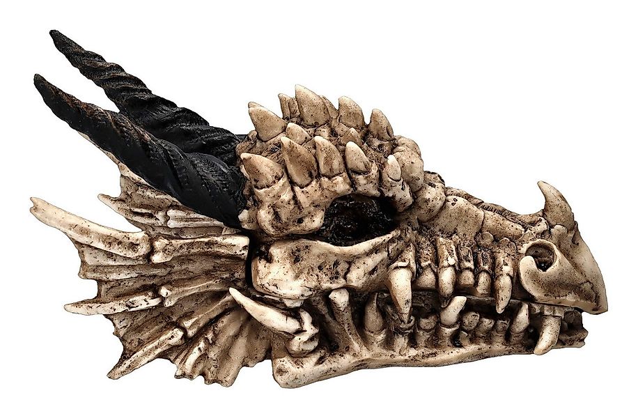 Figuren Shop GmbH Aufbewahrungsdose Schatulle - Drachen Totenschädel - Fant günstig online kaufen