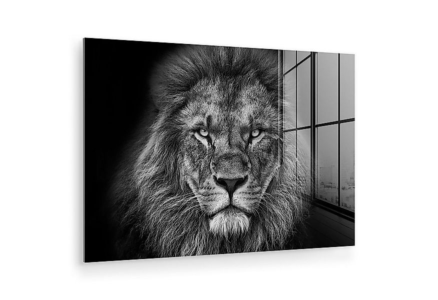 MuchoWow Acrylglasbild Tiere - Löwe - Schwarz - Weiß - Porträt, Inkl. Aufhä günstig online kaufen