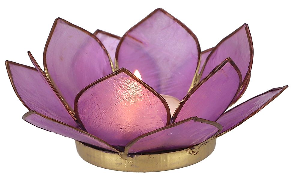 Guru-Shop Windlicht Lotus Teelicht Muschel 11*4 günstig online kaufen