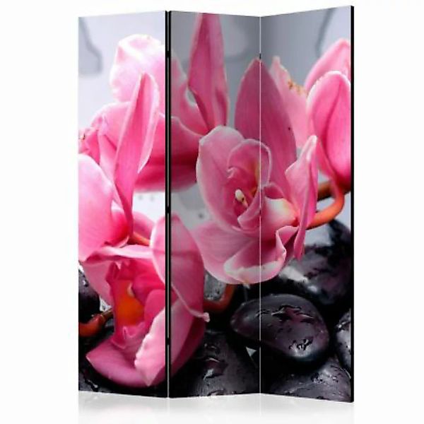 artgeist Paravent Orchid flowers with zen stones [Room Dividers] mehrfarbig günstig online kaufen