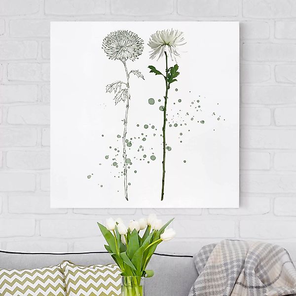 Leinwandbild - Quadrat Botanisches Aquarell - Löwenzahn günstig online kaufen