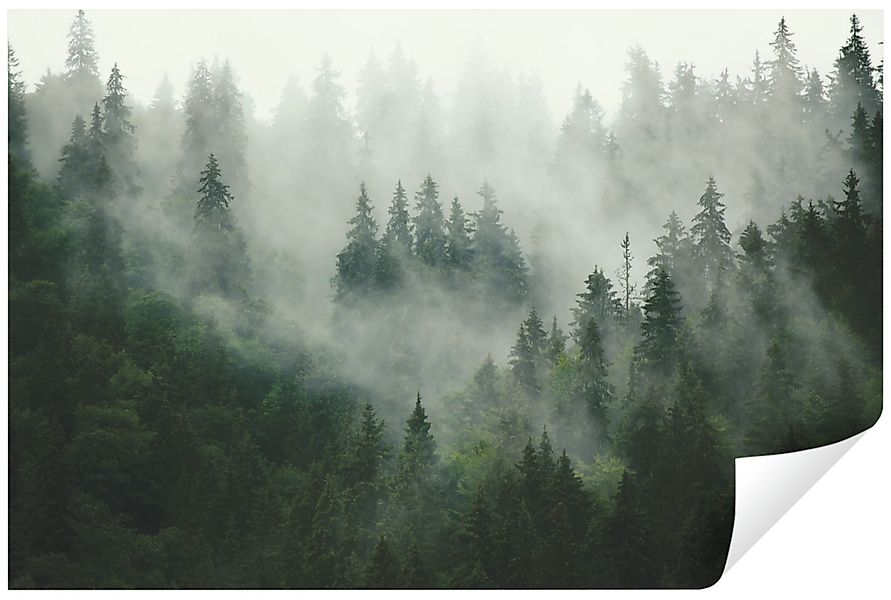 Wallarena Fototapete Wald im Nebel Natur günstig online kaufen