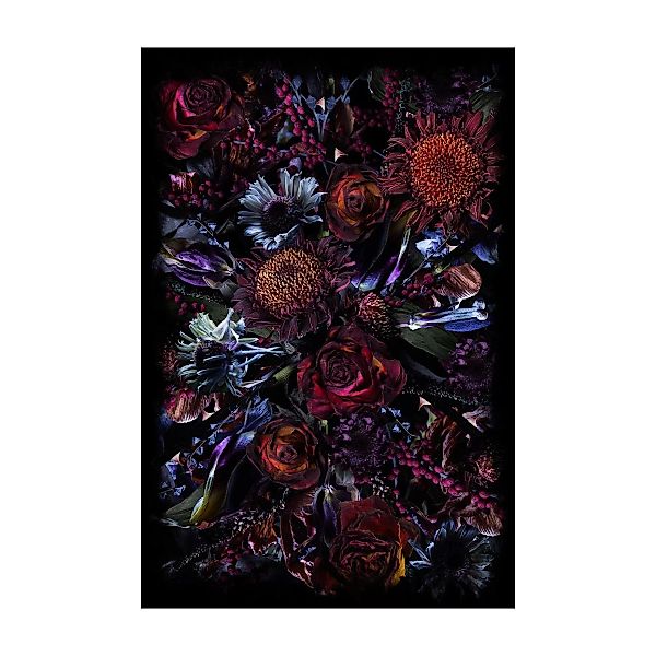 Moooi Carpets - Fool’s Paradise Teppich rechteckig 300x400cm - schwarz/rot/ günstig online kaufen
