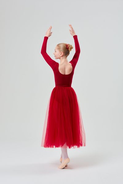 tanzmuster Tüllrock Langer Tüllrock Luna, zwei günstig online kaufen