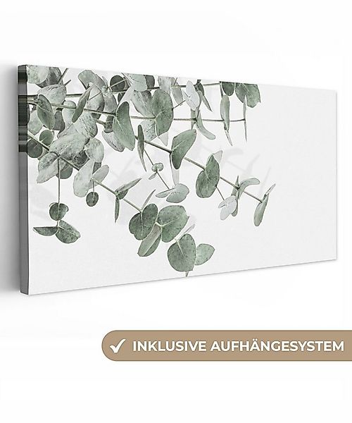 OneMillionCanvasses® Leinwandbild Panorama Eukalyptus - Blätter - Natur - G günstig online kaufen