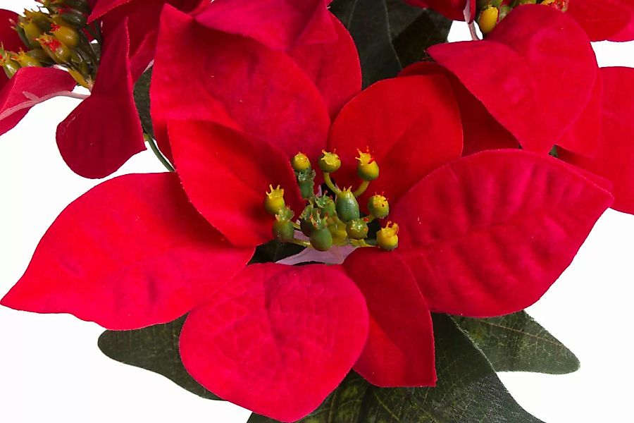 Botanic-Haus Kunstblume "Weihnachtsstern in braunem Kunststofftopf" günstig online kaufen