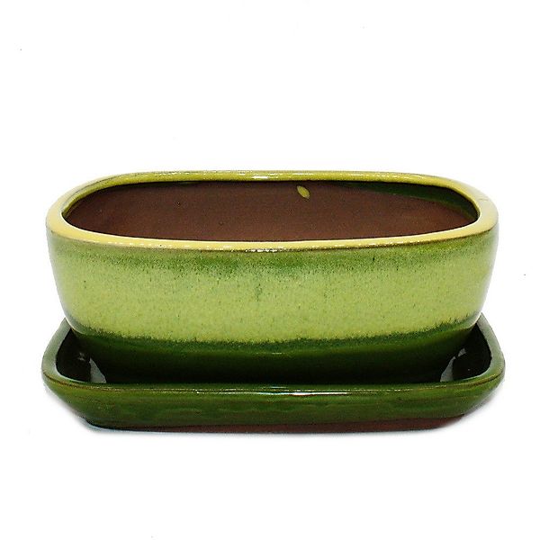 Exotenherz Pflanzschale Bonsai-Schale Unterteller Gr. 3 günstig online kaufen