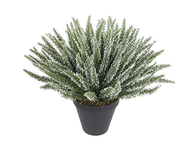 Kunstblume Großes Erika / Heidekraut 42x36cm günstig online kaufen