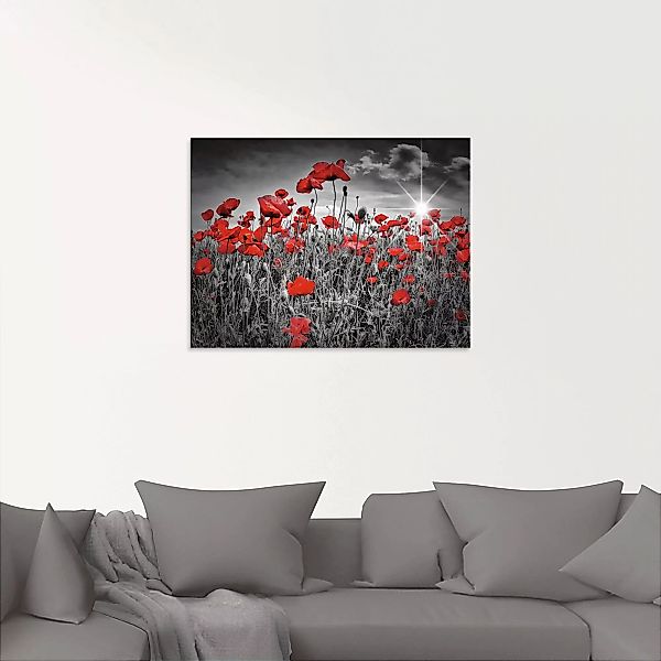 Artland Glasbild "Idyllisches Mohnblumenfeld", Blumen, (1 St.) günstig online kaufen