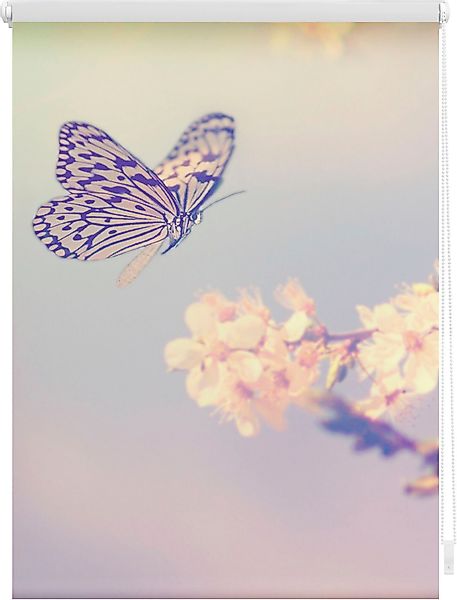 Seitenzugrollo Klemmfix Motiv Schmetterling, LICHTBLICK ORIGINAL, günstig online kaufen