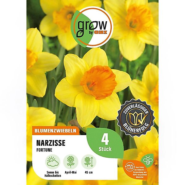 GROW by OBI Narzisse Fortune Gelb 4 Stück Narcissus large cupped Fortune günstig online kaufen