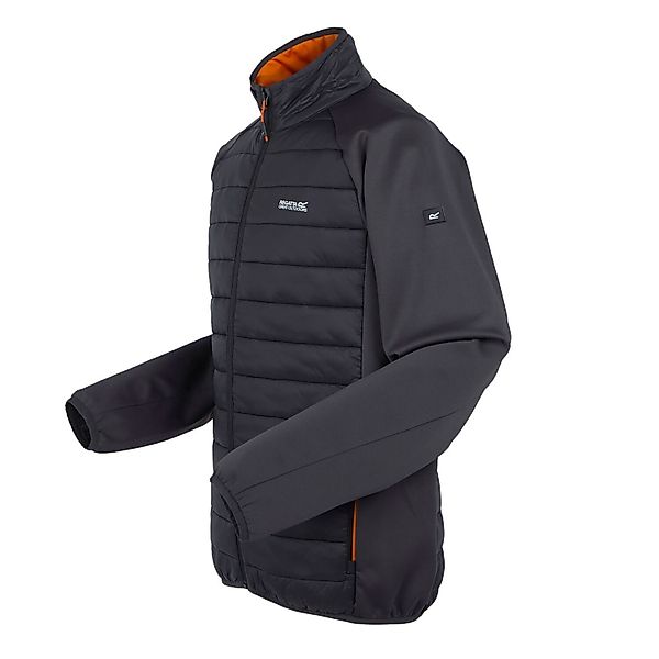 Regatta Steppjacke Clumber IV Regatta Clumber günstig online kaufen