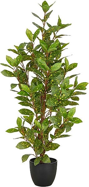 Kunstpflanze Acuba, Creativ green, Höhe 90 cm, mit schönem Blattwerk günstig online kaufen