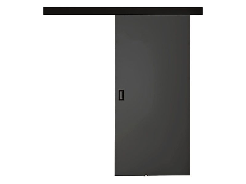 MIRJAN24 Schiebetür Werdi (Tür universell Links / Rechts), Metallkugellager günstig online kaufen