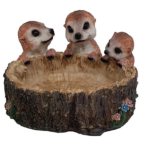 Dekofigur Erdmännchen-Tränke 18 cm günstig online kaufen