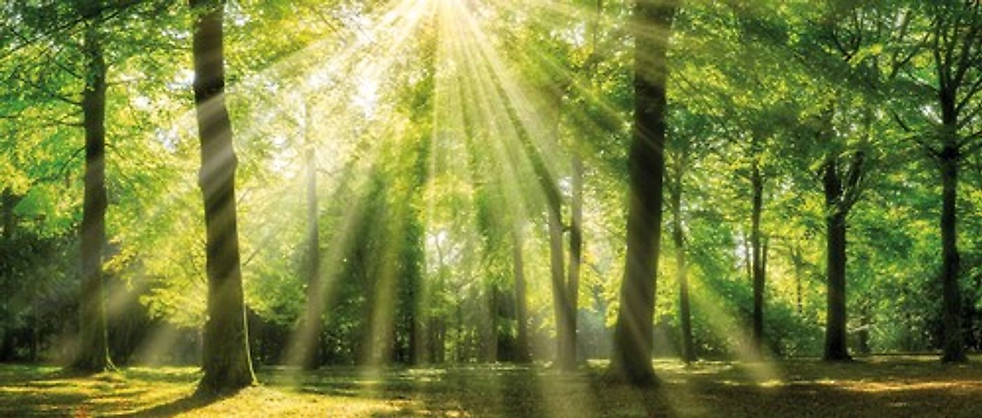 Bönninghoff Leinwandbild »Sonnenstrahl« 1 Stk. tlg. günstig online kaufen