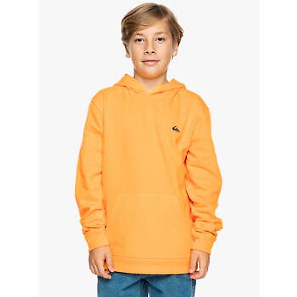 Quiksilver  Sweatshirt - günstig online kaufen