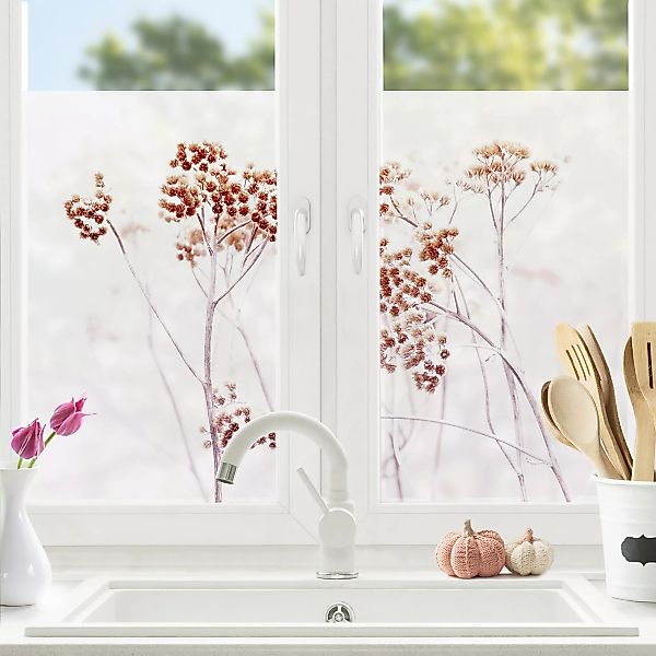 Fensterfolie Isländische Wildblumen günstig online kaufen