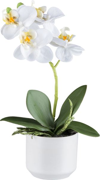 Creativ green Kunstorchidee "Orchidee Phalaenopsis" mit real-touch-Blüten günstig online kaufen