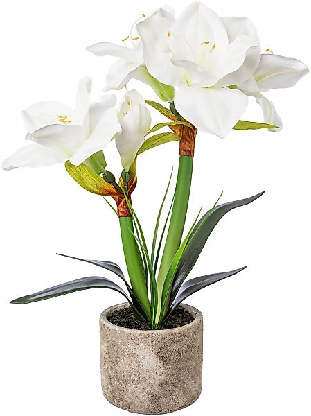 Winterliche Kunstpflanze Weihnachtsdeko Amaryllis, Creativ deco, günstig online kaufen