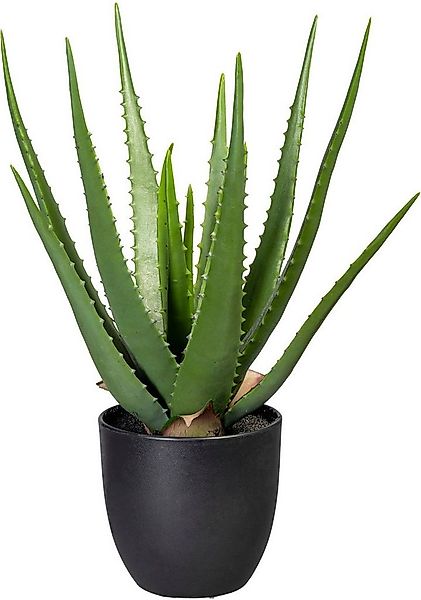 Künstliche Zimmerpflanze Aloe, Creativ green, Höhe 47 cm günstig online kaufen