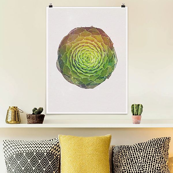 Poster - Hochformat Wasserfarben - Mandala Sukkulente günstig online kaufen