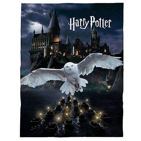 Kinderdecke Super flauschige Harry Potter Kuscheldecke günstig online kaufen