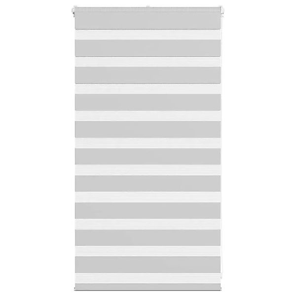 vidaXL Doppelrollo Hellgrau 70x100 cm Stoffbreite 65,9 cm Polyester 4014411 günstig online kaufen