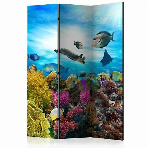 artgeist Paravent Coral reef [Room Dividers] mehrfarbig Gr. 135 x 172 günstig online kaufen